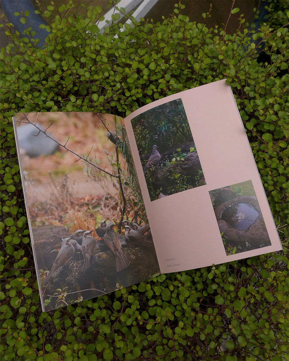 サムネイル： booklet  'beginning'