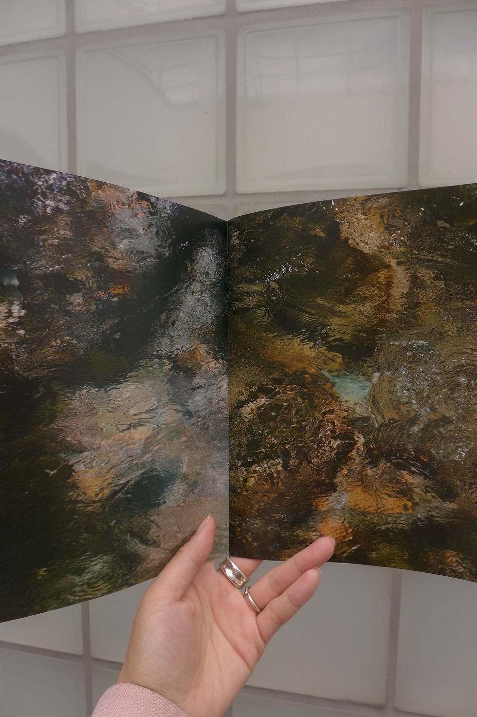 サムネイル： booklet  'beginning'