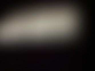 Bird watching trip -Day 2