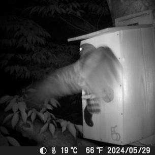 Welcome to FOS birdhouse!