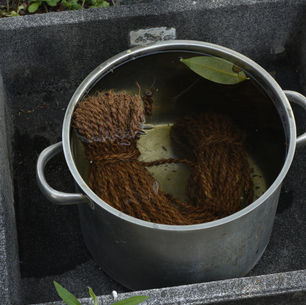 letter from nature - 観察準備編