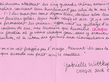 Et les palmiers ?