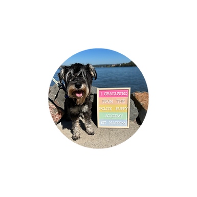 Untitled design (6).png