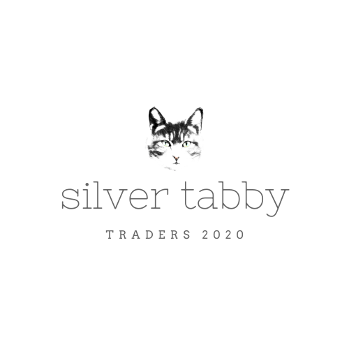 silver tabby 4d.png