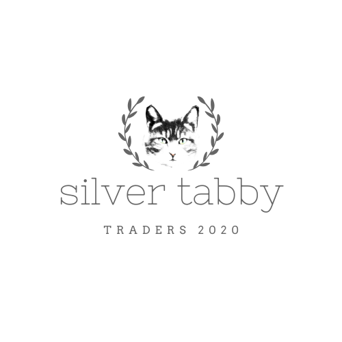 silver tabby 4.png