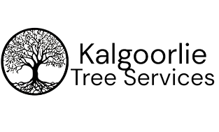 KTS Logo Rectangle_edited.png