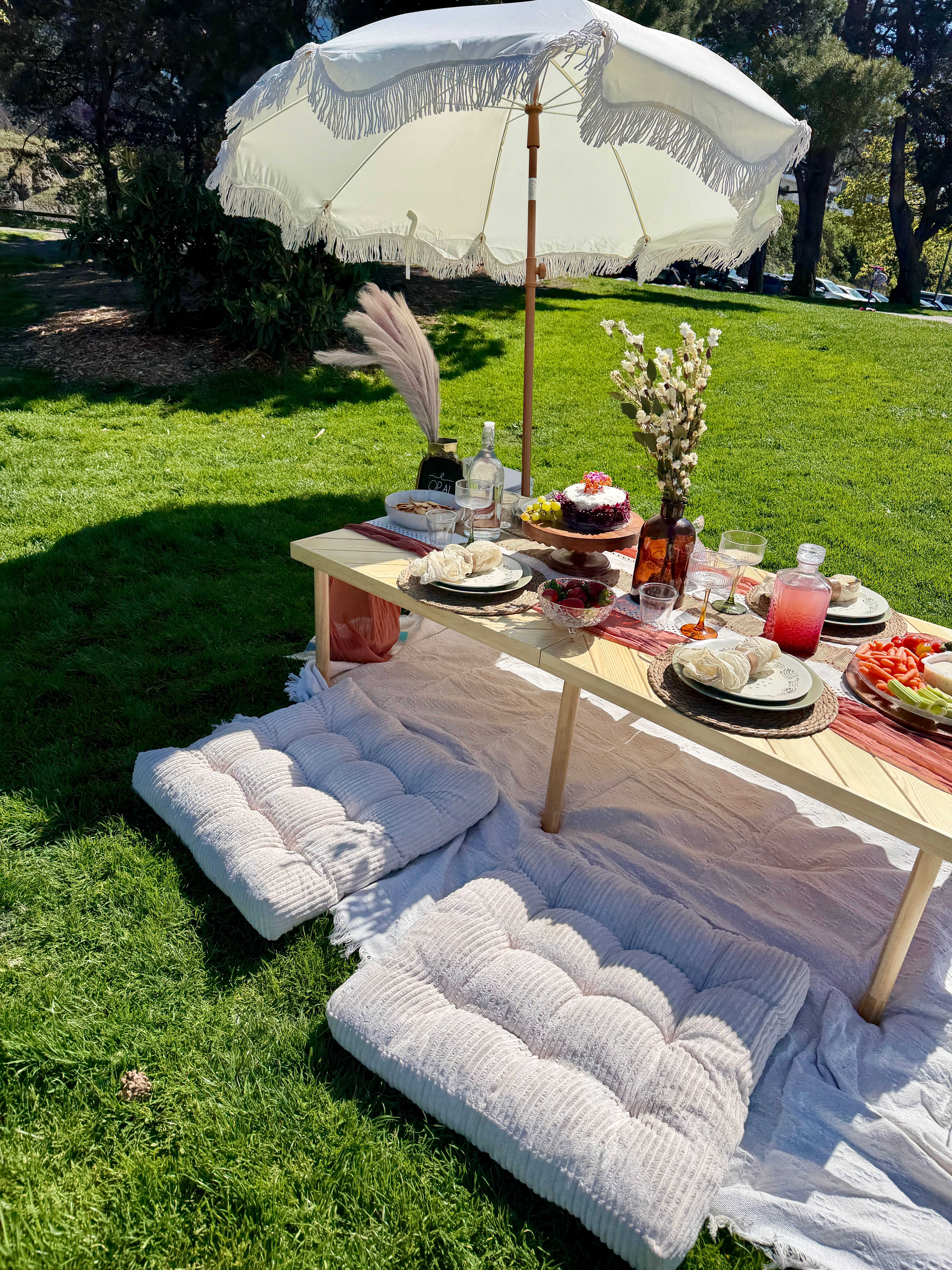 Elegant picnic package setup with low table, candles, and cushions