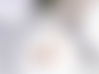 Engaged and ready to start planning your Wedding