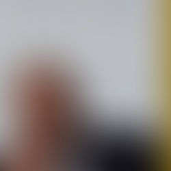 Robert L. Ingram Jr.