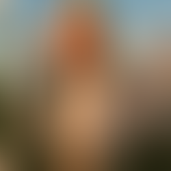 Allan St. John Blondell Sr.