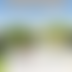 Estate Planning for Florida Vacation Home Owners: How to Protect Your Investment