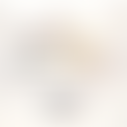 The Tax Myths That Are Costing Florida Families Real Money in Estate Transfers