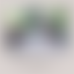 Eco-Conscious Estate Planning: Green Gifting and Sustainable Legacies