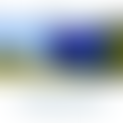 Florida Homestead Exemption: Mid-Year Checklist for Snowbirds