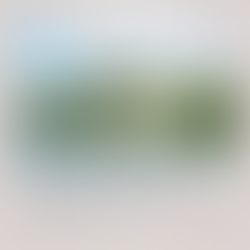 New Year’s Resolutions for Your Estate Plan: Florida-Specific Goals for 2025