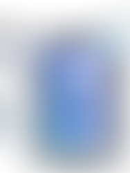 The Multimedia of The New York Times