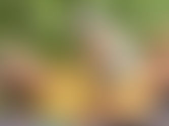 Breaking into High Society, it's "Ruff"