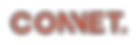 LOGO-CONNET--otro.png