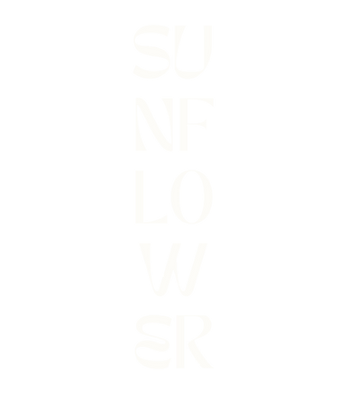 20240215_002531_0000.png