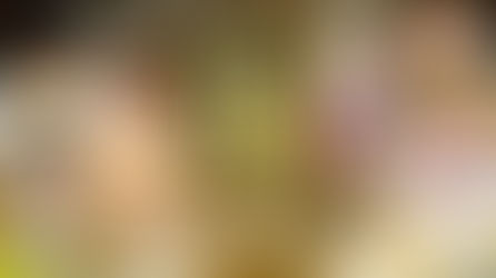 【Shadowverse: Worlds Beyond(シャドバWB)】『もこかもチャレンジ!ガチで1億とりにいくTV』配信決定✨