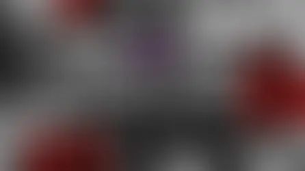 【Peoject XENO】BreakingDown8.5のプラチナスポンサーに「PROJECT XENO」が就任