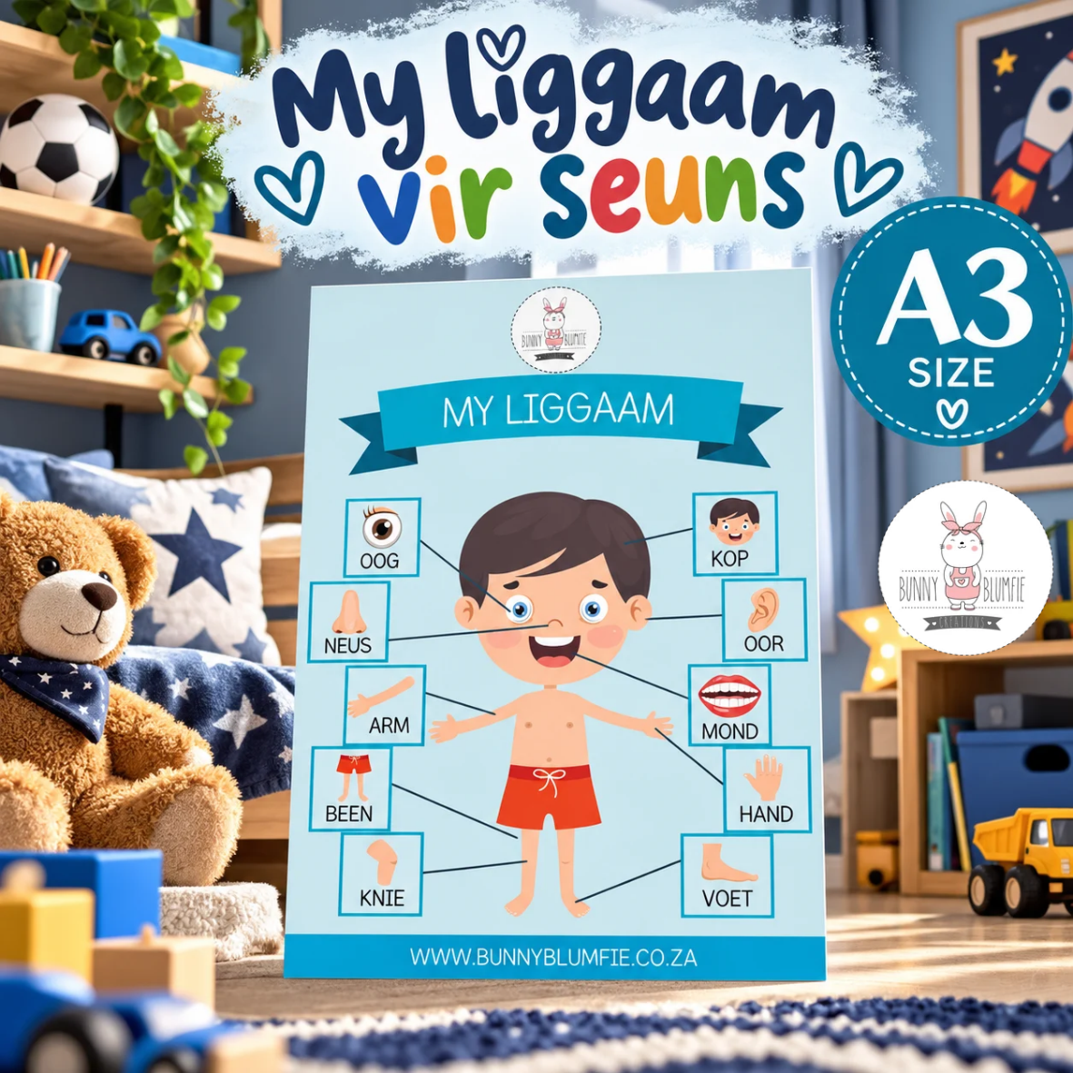 MY LIGGAAM - SEUNS - OPVOEDKUNDIGE PLAKKAAT