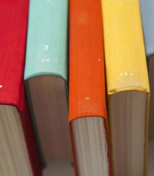 Colorful%2520Book%2520Spines_edited_edited.jpg