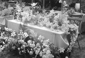 DSCF1010.jpg