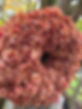 Autumn Wreath.jpg