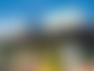 Doi romani prinsi la furat in Eurospin ITALIA