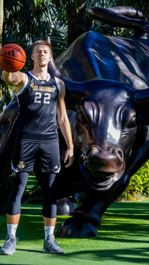 2025 Wing/Forward 6'5 David Koch Player Profile