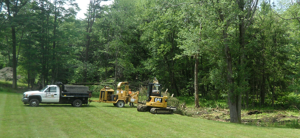 Land Clearing