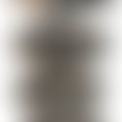 Launch of Wooden Crate Retail Display Stands