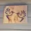 Thumbnail: Hummingbird Pair