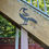 Thumbnail: Crow