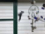 Thumbnail: Pileated Woodpecker