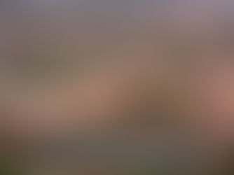 Why Managed Farmland is a Smart Choice For Investment Near Mysore