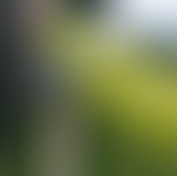 Hab keine Lust mehr – Von der Lust- und Motivationslosigkeit zum Gedankenstrudel der Selbstzweifel