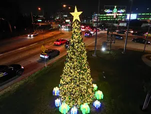 Your Go-To-Guide to the 2025 Best Tree Lighting Ceremonies in California 