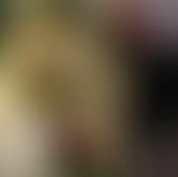 How Many Ornaments Do You Need for Your Christmas Tree?