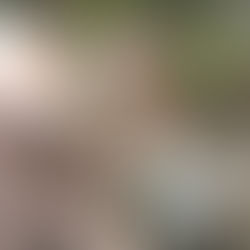 ３月の園芸活動②　お庭の看板の修理をしました