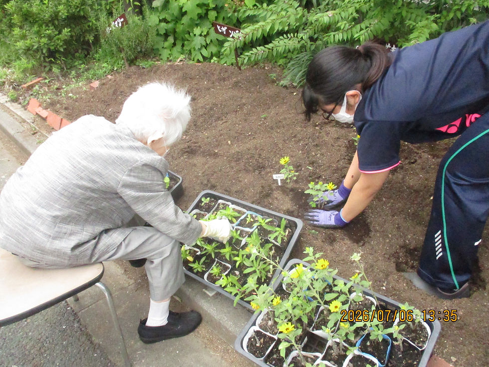 ７月の園芸活動②　花壇の植え替えを行いました