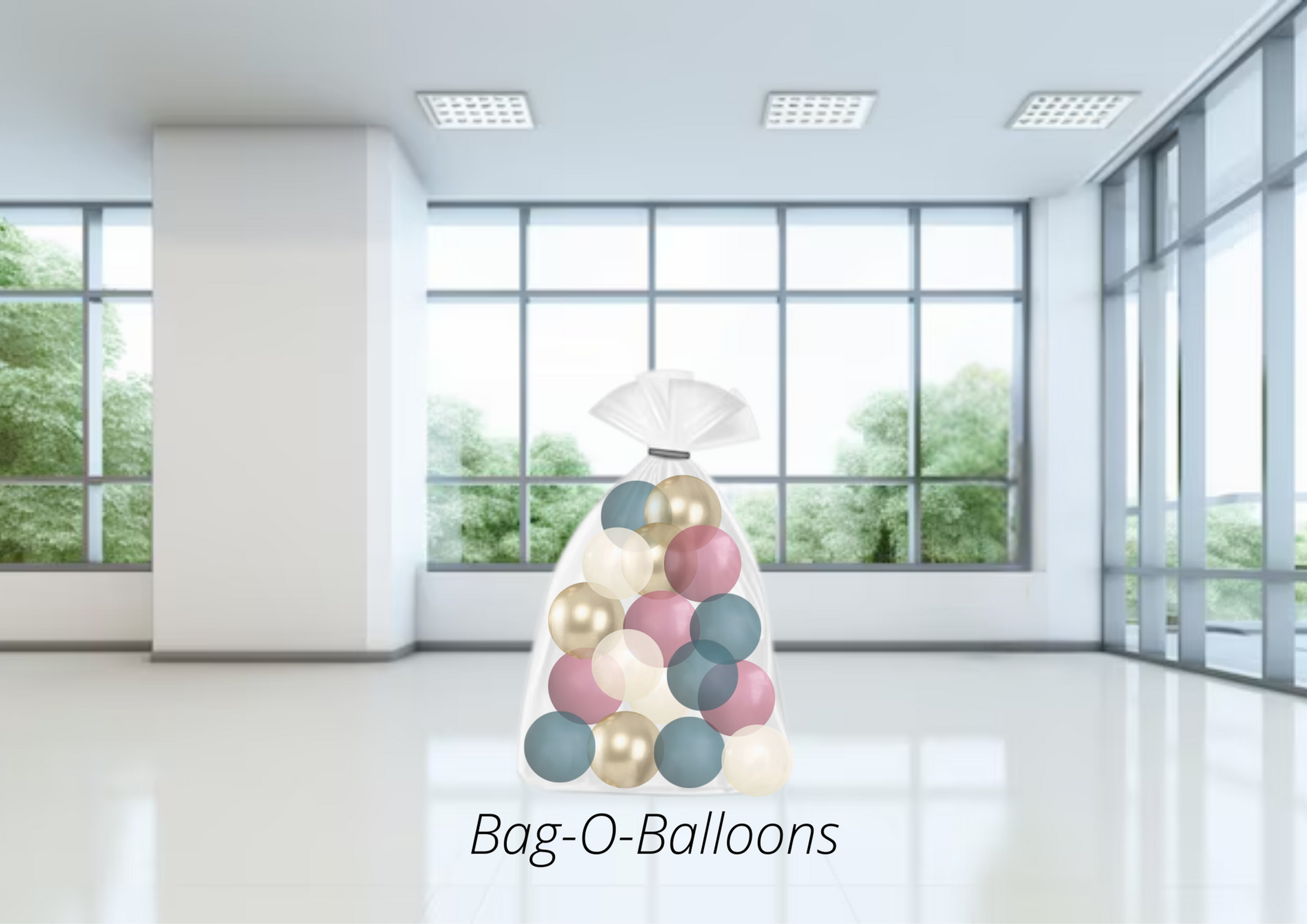 Bag-O-Balloons