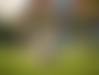 Pet-Friendly Holiday Stays in Llandudno