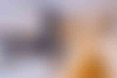 Kitchen area in Curzon Villa