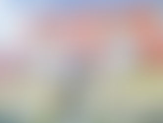 Brierley Street Renovation