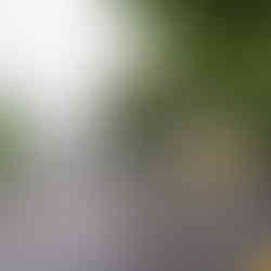 Hempstalls Court, Newcastle-under-Lyme