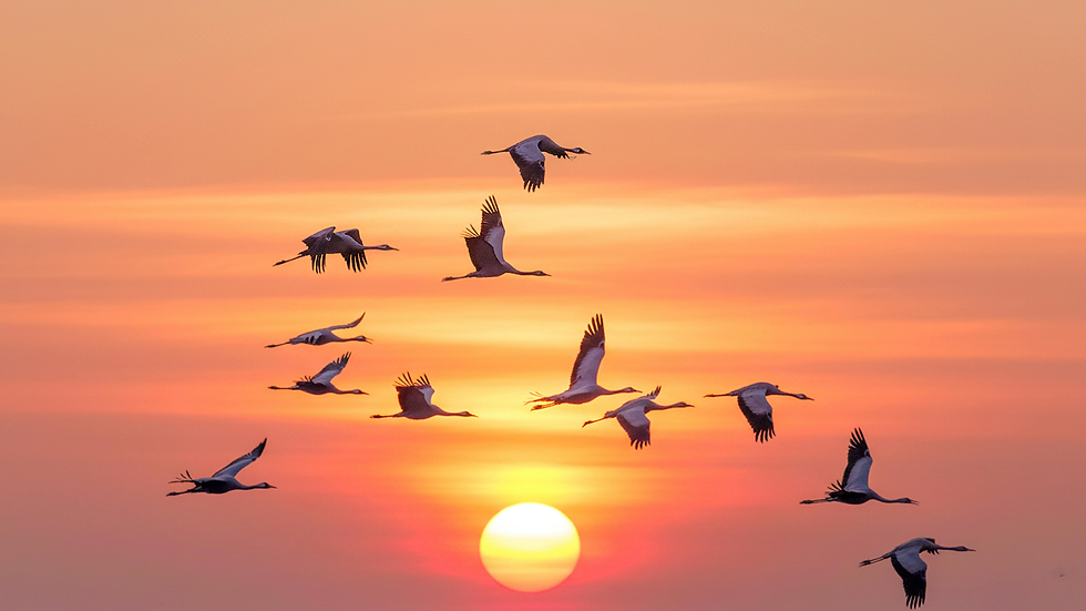 Fantastic sunrise at Llandudno Promenade