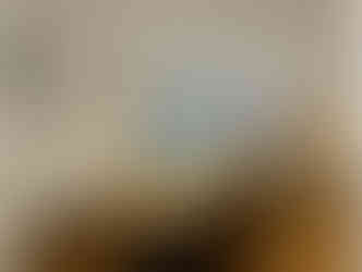 Spacious dining area with long wooden table and comfortable seating