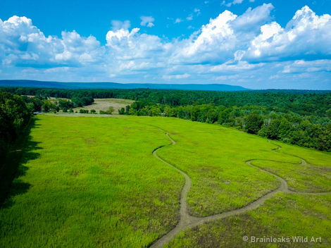 Drone view of trail Tannersville, Pa